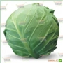 Свежая капуста, соответствующая категории Капуста - Амарин F1