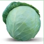 Свежая капуста Хонка F1