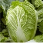 Свіжа капуста МАРРІО