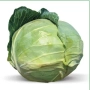 Свежая капуста Наоми F1