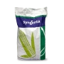 Пакет с кукурузой Syngenta - СИ КАРИОКА