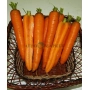 Свежая морковь в плетёной корзине - Карболи