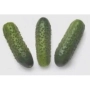 Three cucumbers of the Karaoke RZ F1 variety on a white background