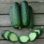 Свіжі огірки на дерев'яній поверхні - Криспіна F1