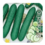 Семена огурца ЗОЗУЛЯ F1 на зеленом фоне с изображением плодов