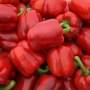 Красные перцы - Юпитер F1