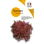 Seed packet of Triplex lettuce with image of dark red foliage
