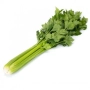 Свіжий селерей на білому фоні - Арітра