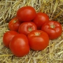 Красные помидоры на соломе - Диаграмма