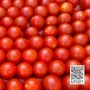 Красные томаты сорта Никсарти на фоне QR-кода