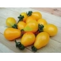 Yellow pepper-tomatoes of the Perun variety on a wooden surface