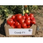Коробка с красными помидорами сорта Скиф F1 на фоне грядки