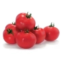 Красные томаты на белом фоне - Тисато F1