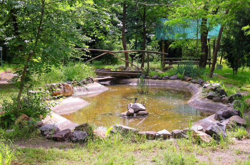 how to waterproof a pond with geomembrane